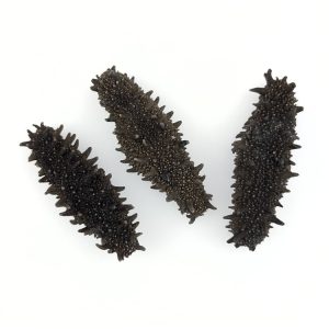 Dry Sea Cucumber