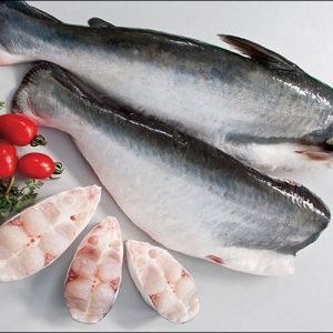 Frozen Pangasius Fish