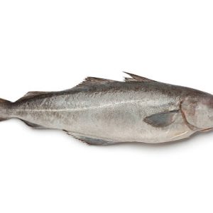 Whole Frozen Pollock Fish