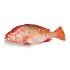 Whole Emperor Red Snapper Fish