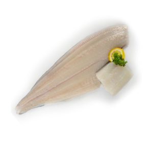 Halibut Fillets Hippoglossus stenolepis