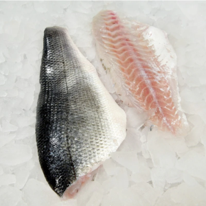 bronzini sea bass Fillets Dicentrarchus labrax