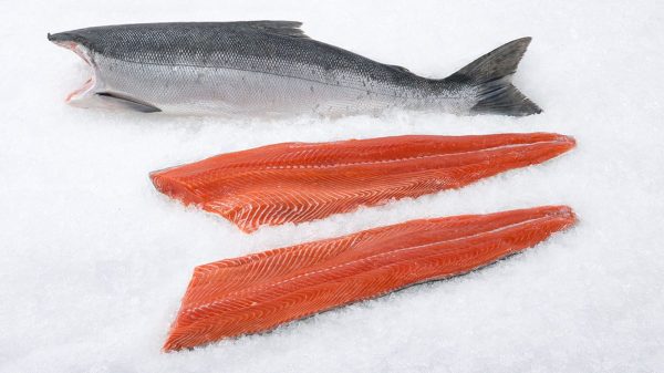 Sockeye Salmon Fillet